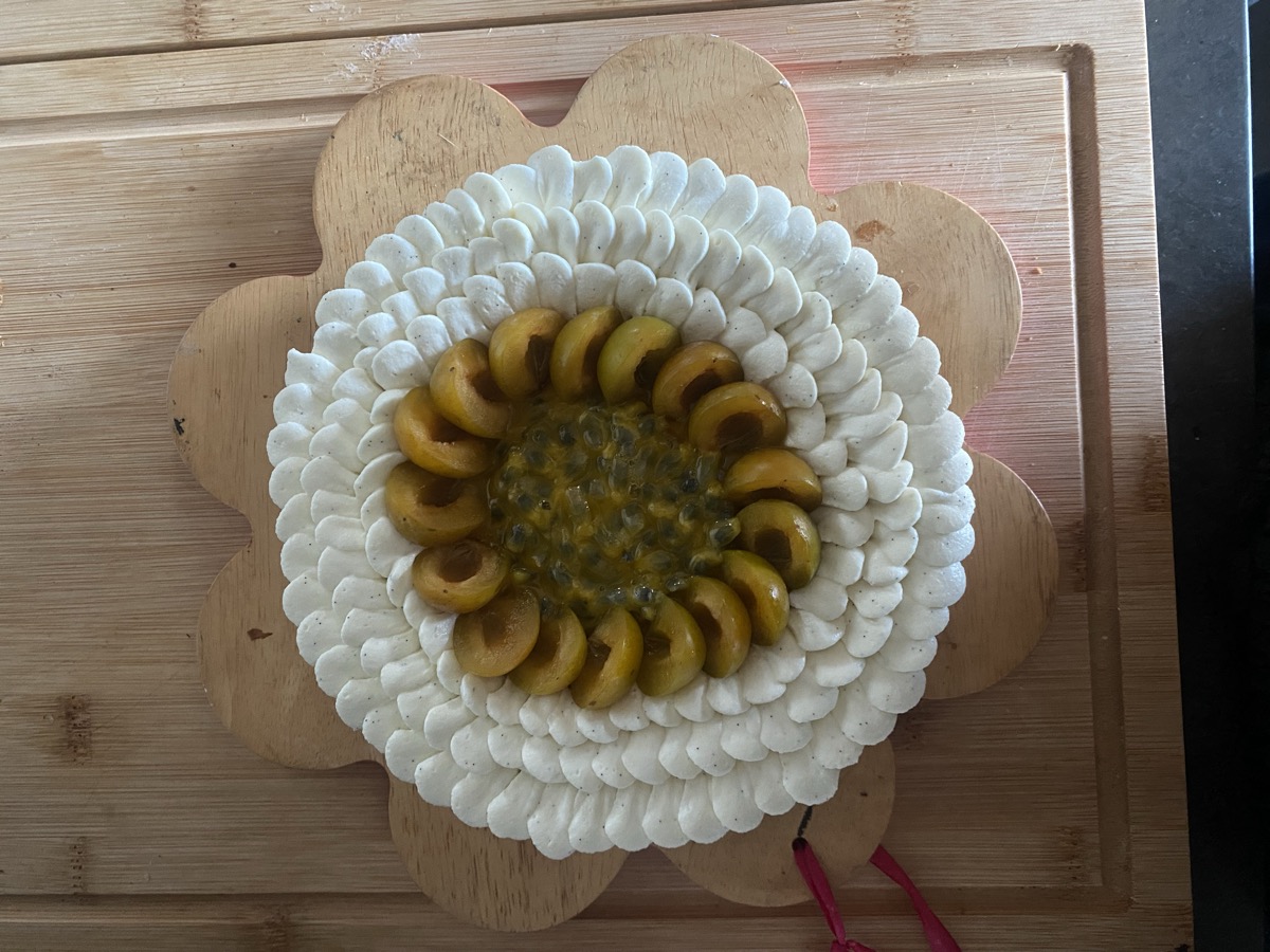 Activité Pro 1 - photo 1