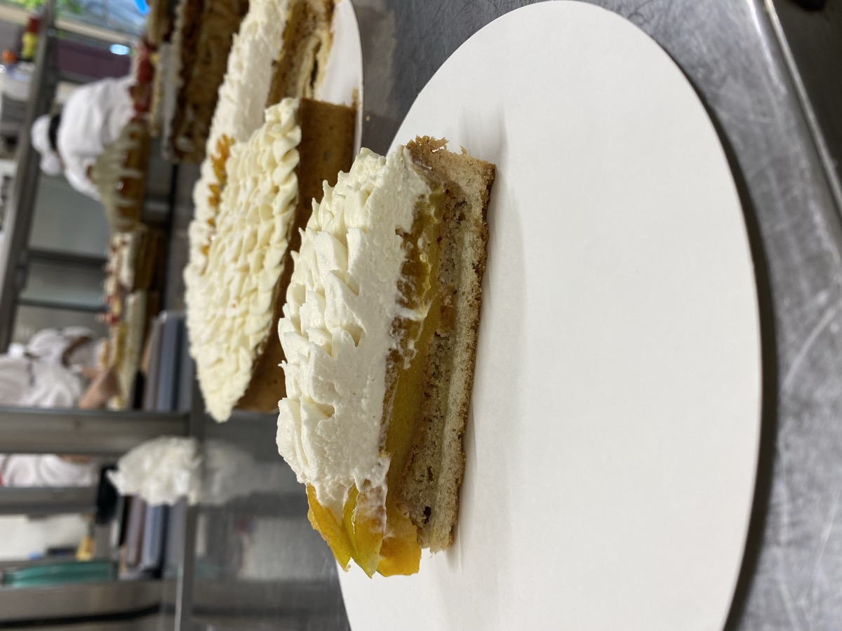 Activité Pro 1 - photo 4